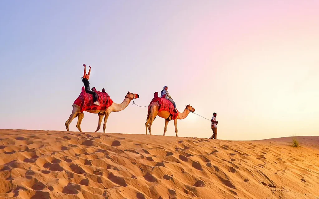 Dammam to Madina